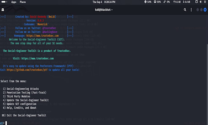 do digital forensics, penetration testing apps and web with report