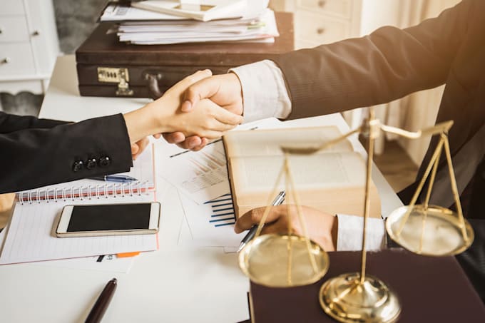 provide legal process outsourcing