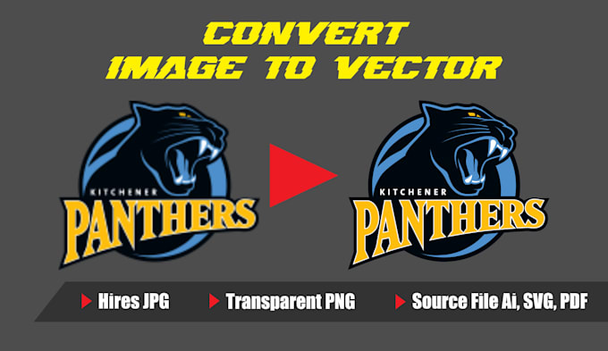 convert any logo or image to vector in 100 minutes