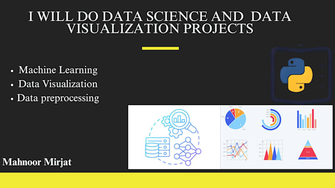 do data science and  data visualization projects