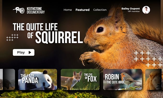design web banner ads, web header images web banners