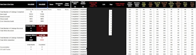 do professional data entry google sheets reporting and bpo project management