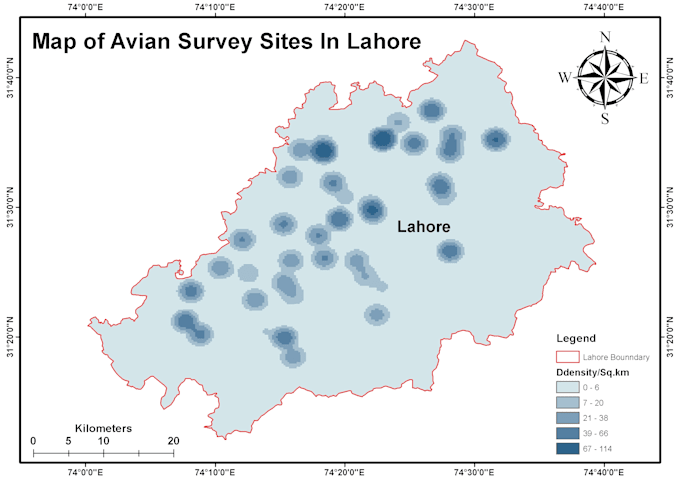 do gis maps, spatial analysis, and google earth services