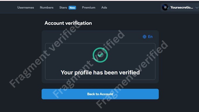 do telegram promotion run telegram ads fragment verification to get approved