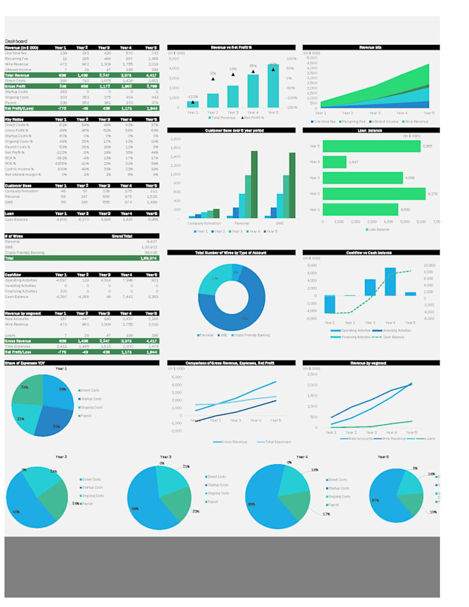 build a professional 3 statement financial model