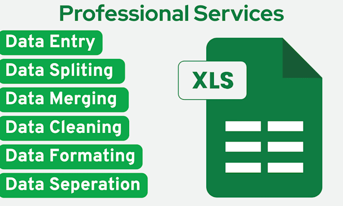 do data excel data cleaning and formating