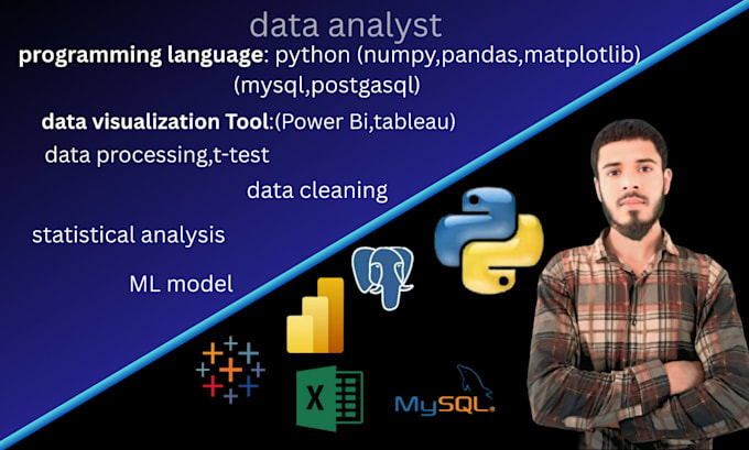 Create professional excel dashboard and data analysis by Badsha028 | Fiverr
