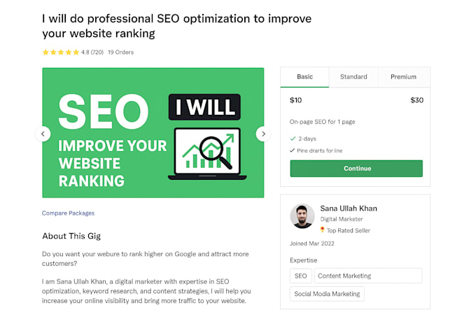 do professional SEO optimization