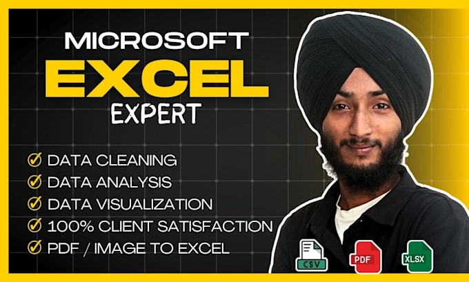 clean, format and organize your excel data in 24 hours