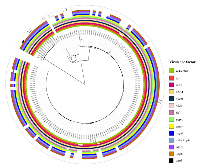 analyze genomic sequencing data with bioinformatics tools