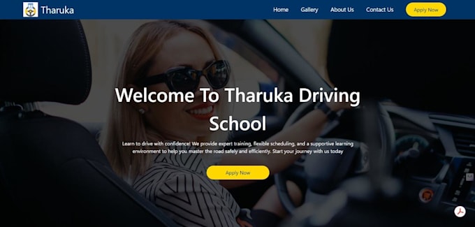build professional web applications