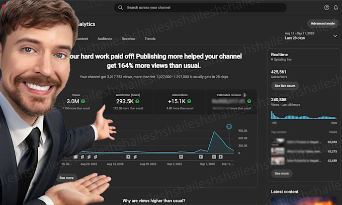 audit, optimize and create strategy for your youtube channel