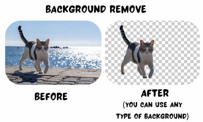 do editing using photoshop, illustrator, canva