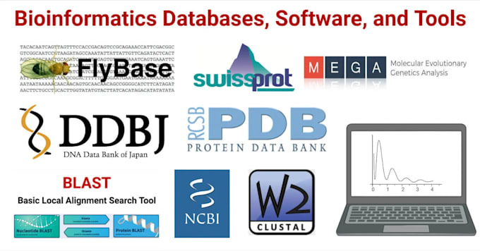 do molecular docking, protein analysis, phylogenetics, computational drug design