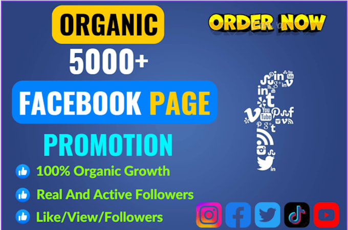 increase social media followers