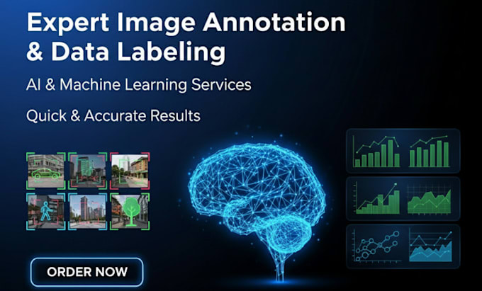 do image annotation, data labeling, segmentation, ai services, machine learning