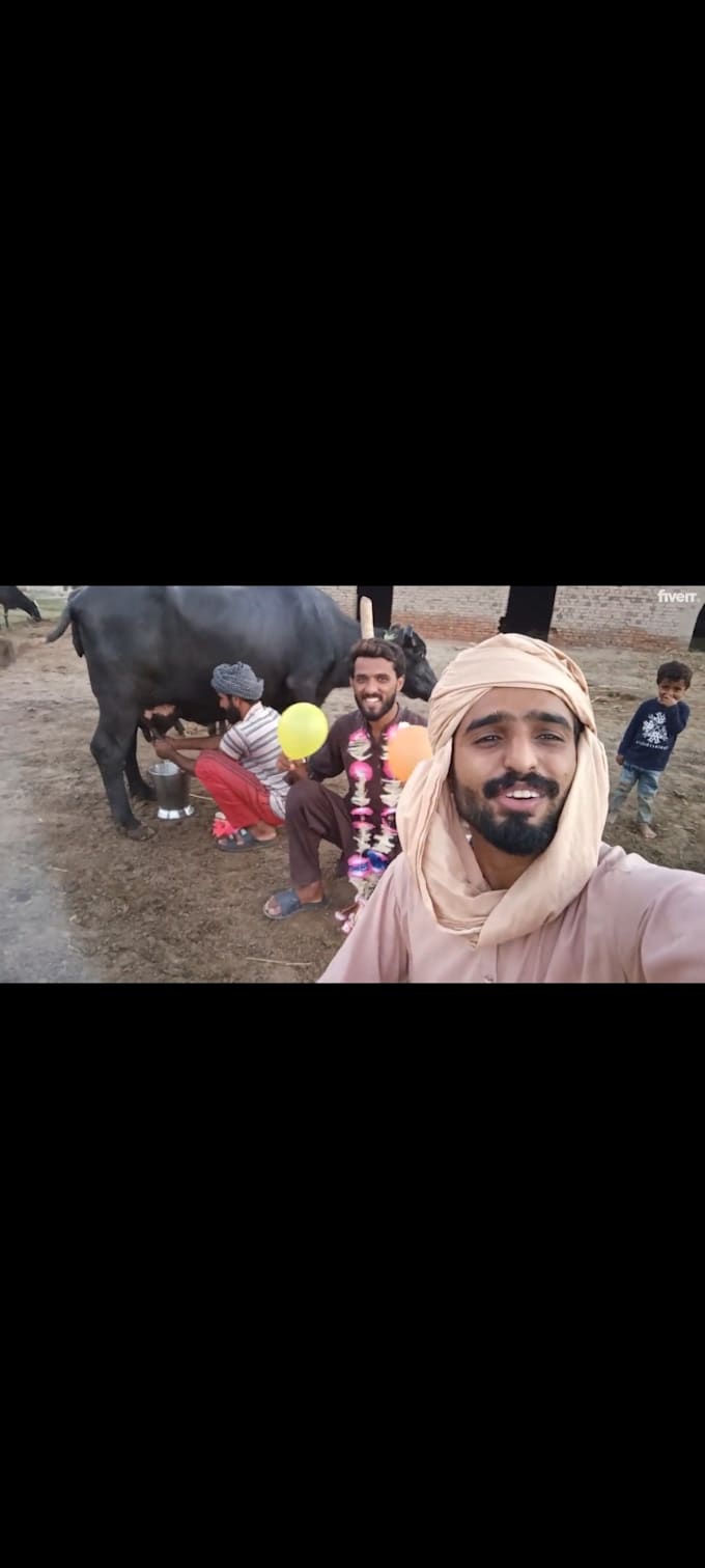 wish african happy birthday video funny happy birthday video