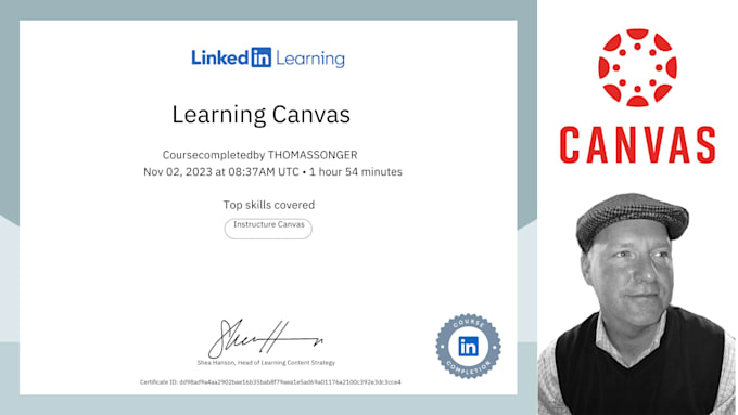 repair, design and develop an engaging canvas lms course