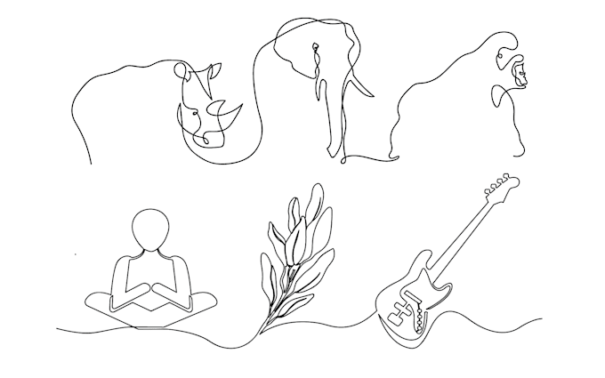 one line illustration of anything