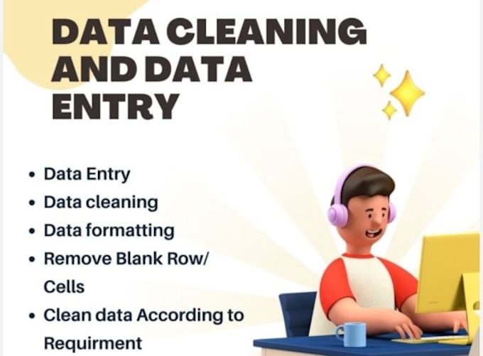 do data entry and clean excel data