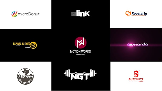 create a professional custom logo animation or intro video