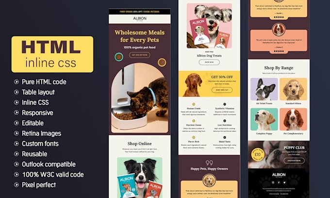 Design responsive email templates that match your brand by ...