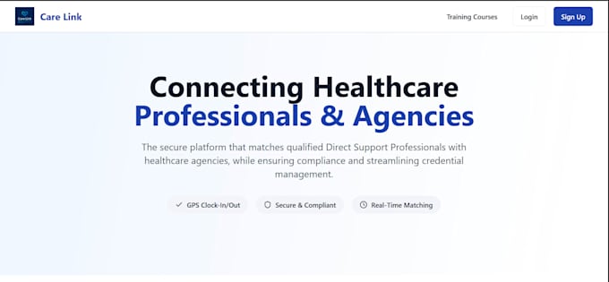 professional full stack web developer for your business