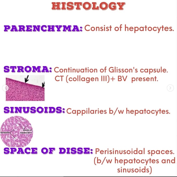 create neet pg, usmle or plab style mcqs with detailed explanations