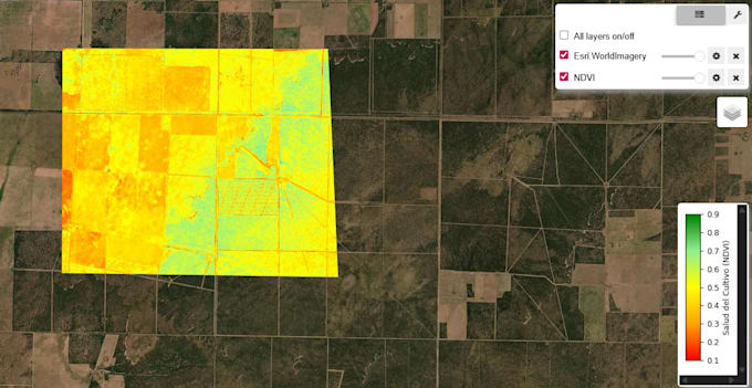 maps and satellite image analysis