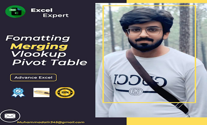 excel expert specialist master to design,format