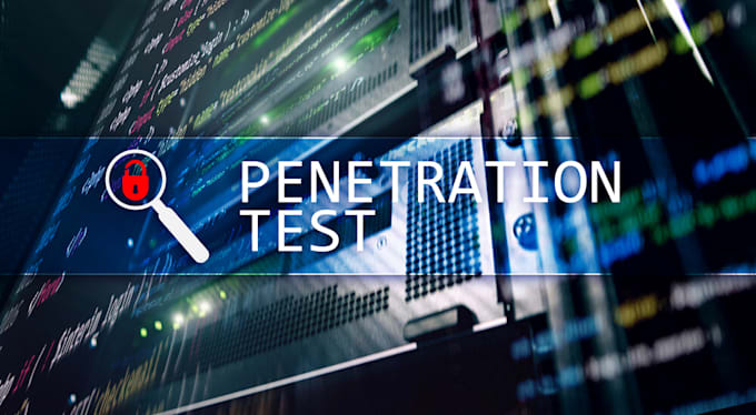 perform a professional web penetration test