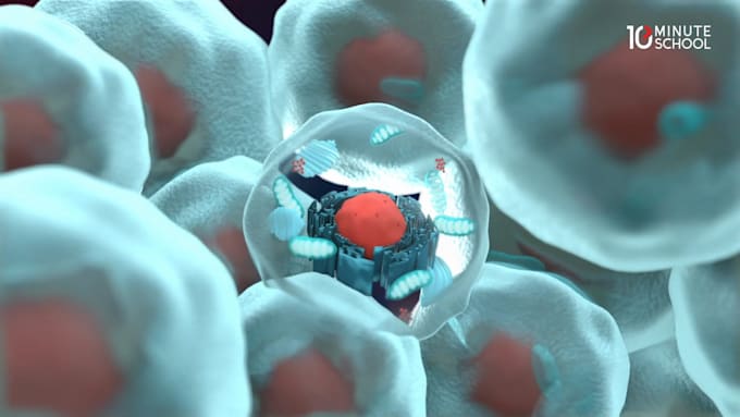 create 3d explainer videos,academic,medical or mechanical