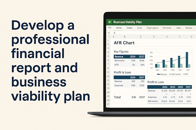 create a professional financial feasibility plan with excel models