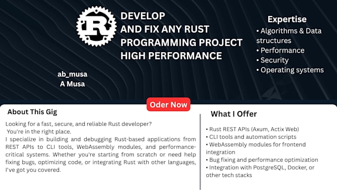 develop and fix any rust programming project high performance