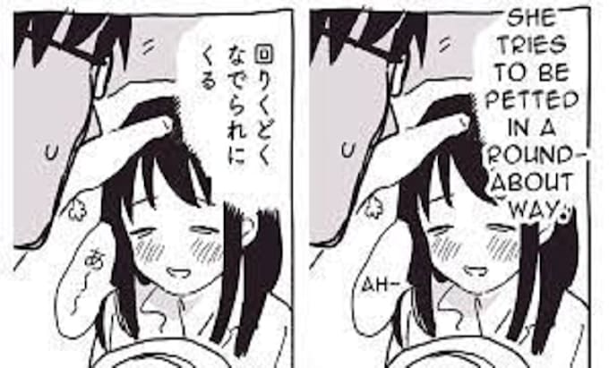 translate and typeset your manga, nsfw fast delivery