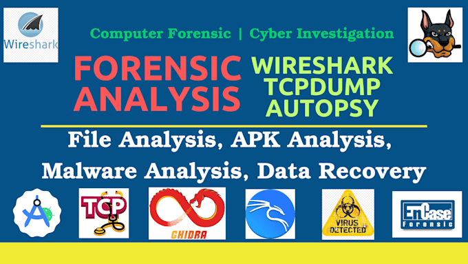 computer forensics, malware analysis, cyber investigation