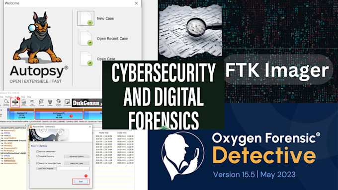 do digital forensics, malware analysis, cyber investigation