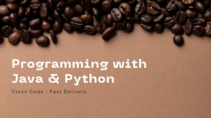 write and debug java and python programs