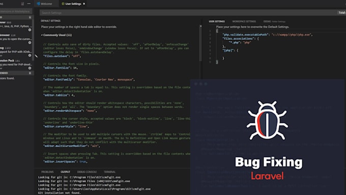 professionally fix and debug your PHP laravel errors urgently