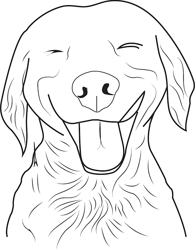 draw minimalist vector continuous line art illustration