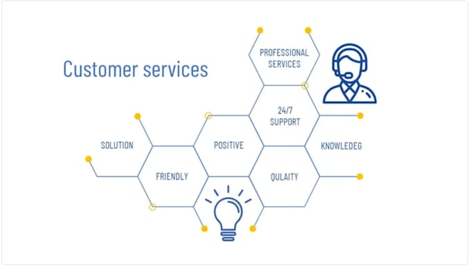 provide professional customer support service