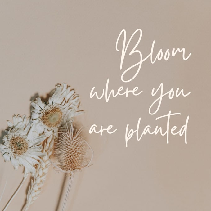 create unique aesthetic quotes for frames ready to print