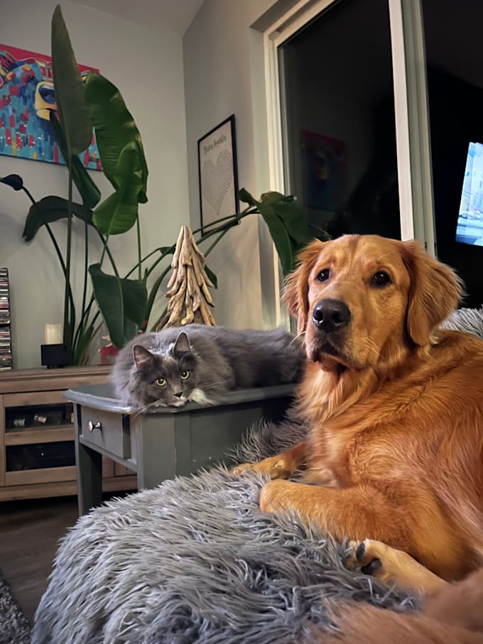 create authentic ugc content with my playful dog
