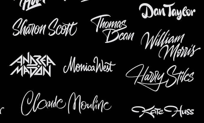 create a custom lettering logo for a professional individual