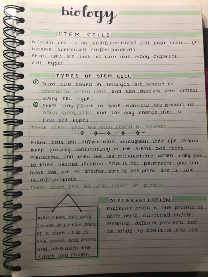 write anything with my beautiful writing