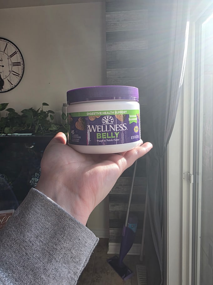 film authentic pet ugc videos for your brand