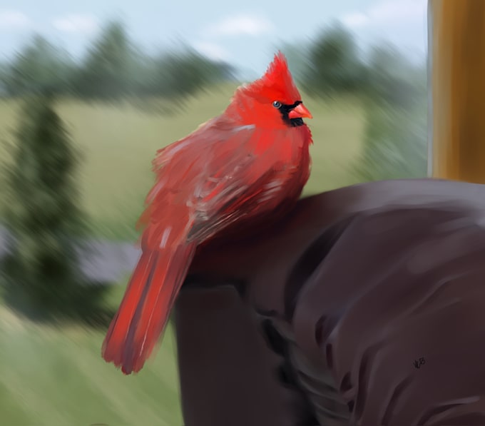 create a customized illustration