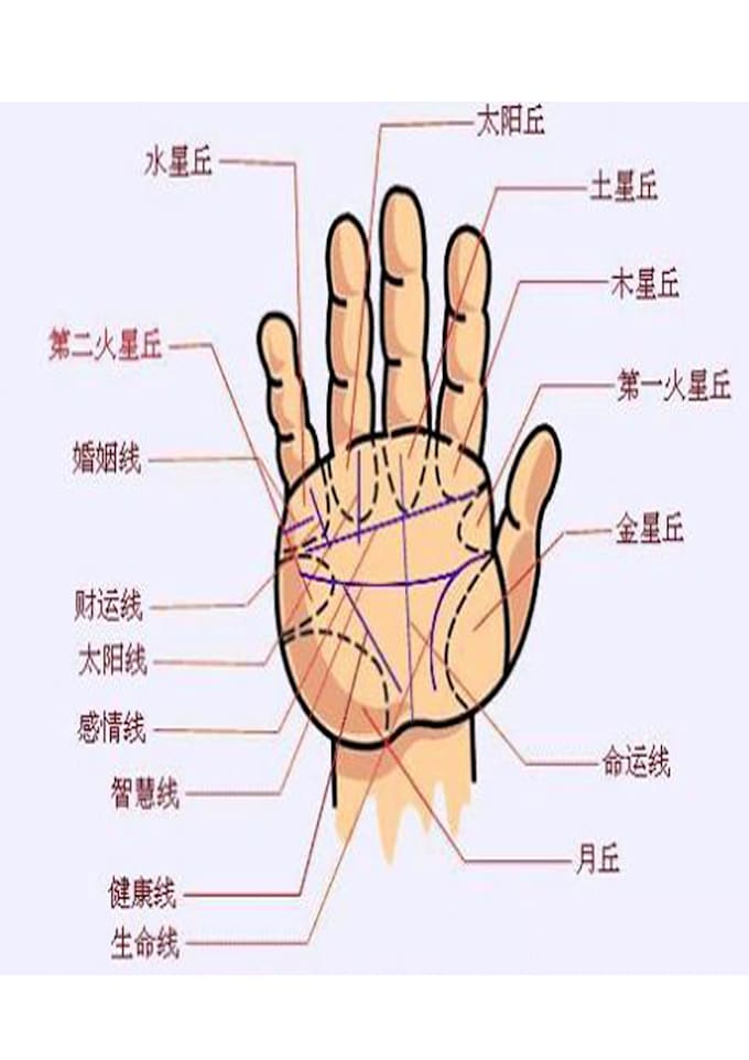 read your palm and reveal your personality, career and life path