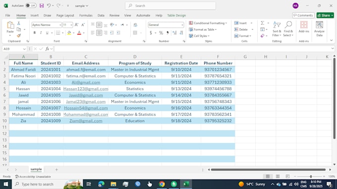 do professional data entry with  high accuracy