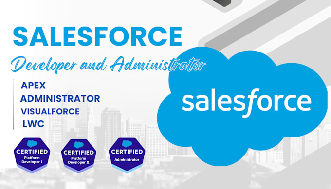 be your saleforce developer and administrator